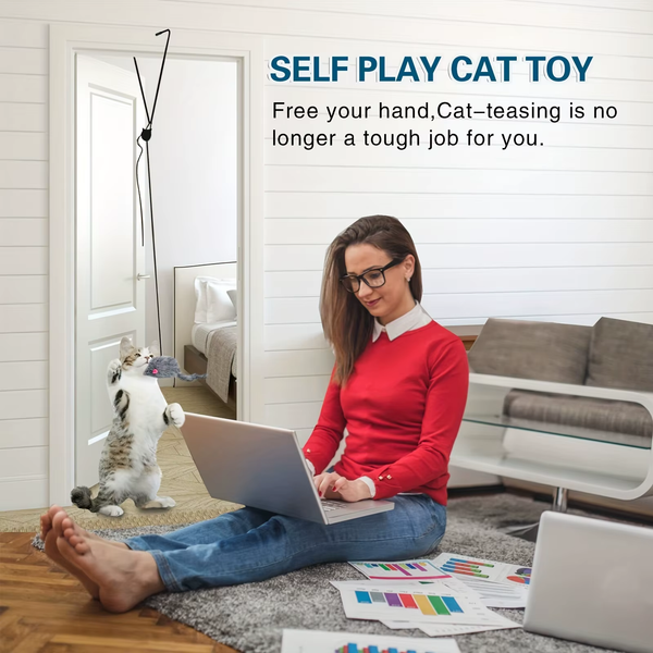 Door Hanging Cat Toy Stress Relieve Living Omdoor Hanging Toy for Living Room Hanging Kitten